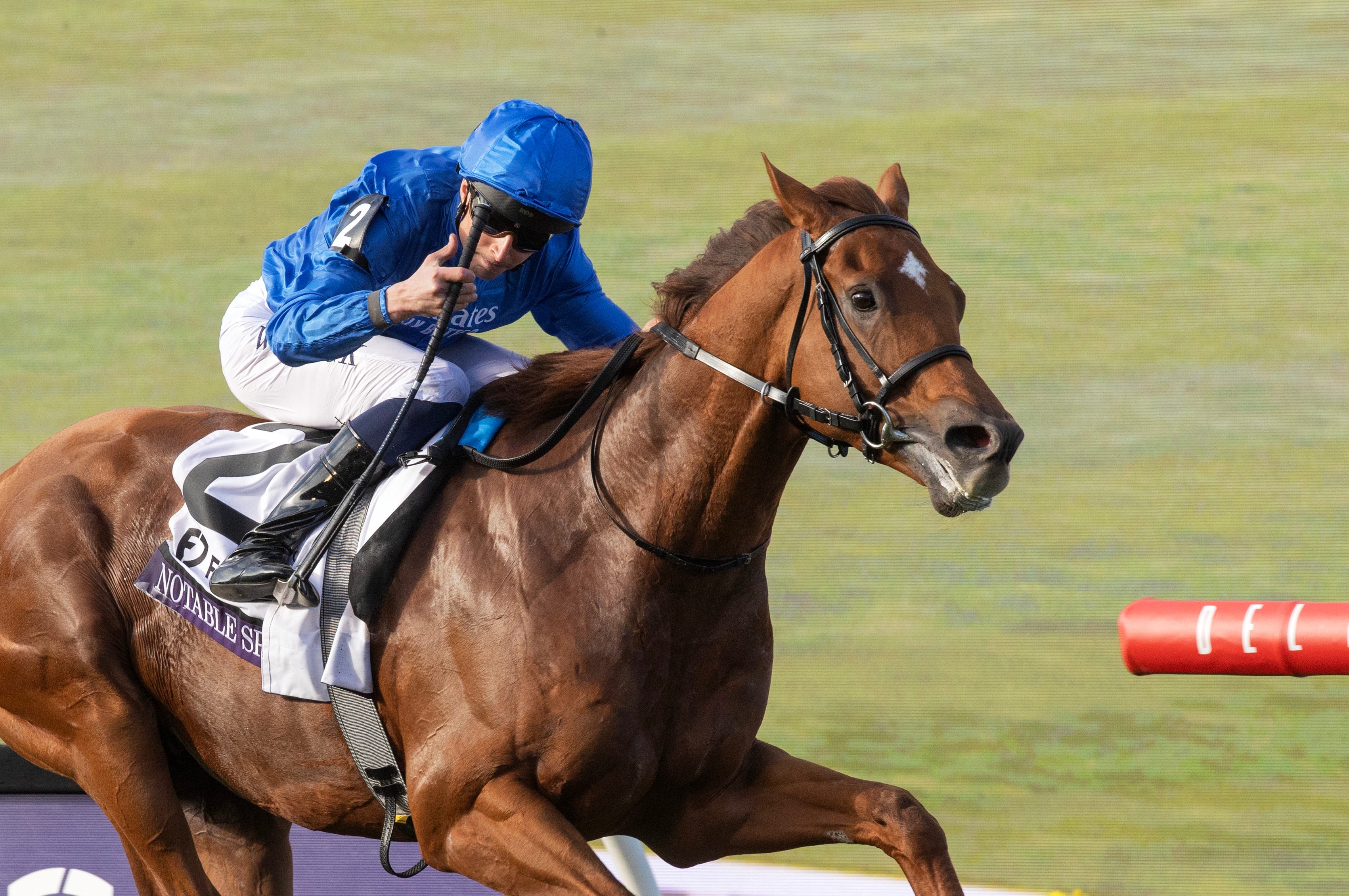 Breeders' Cup Mile: Notable Speech rides the rail to victory